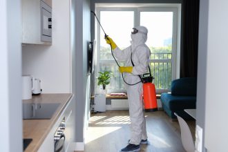 Rats, frelons asiatiques, punaises de lit : quels nuisibles menacent les logements savoyards ?